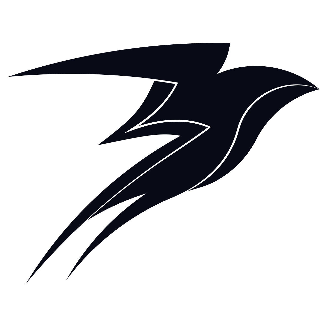 Storm Logo